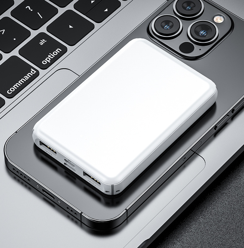 Rechargeable Electric Heating Vest with Portable Power Bank