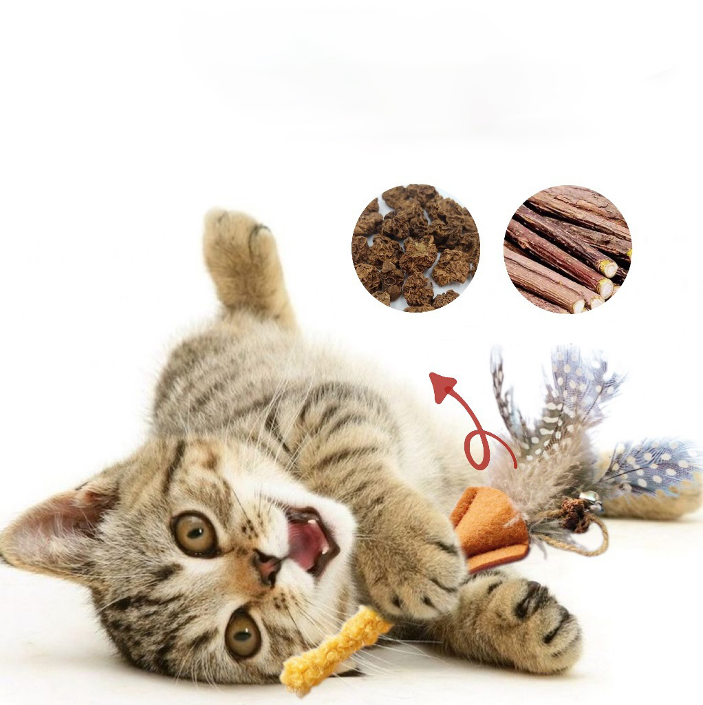 Polygonum Wood Molar Stick for Cats - Engaging Feather Pet Toy with Gall Fruit