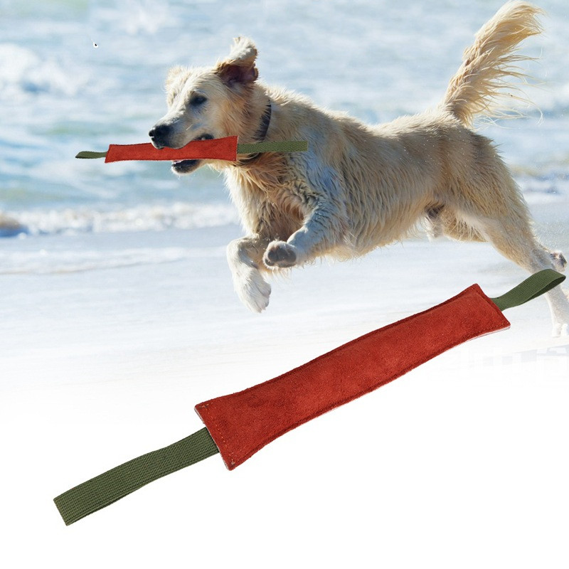 Durable Dog Bite Stick for Safe Chewing and Training Playtime