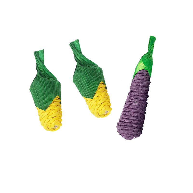Hamster Rabbit Chew Toys - Molar Supplies with Fun Carrots