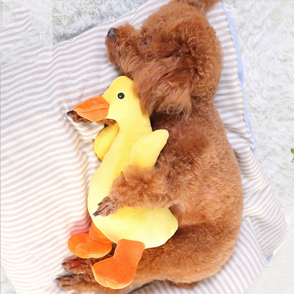 Dog Plush Vocal Toy - Huayuan Pet Interactive Plush Toy for Dogs