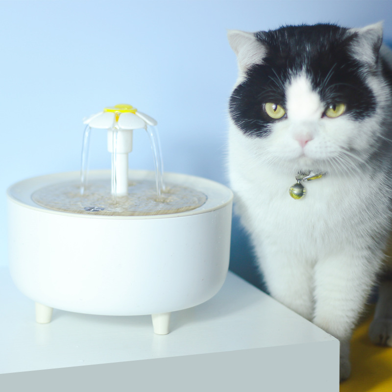 Automatic Pet Water Dispenser with Loop Filtering System for Fresh Hydration