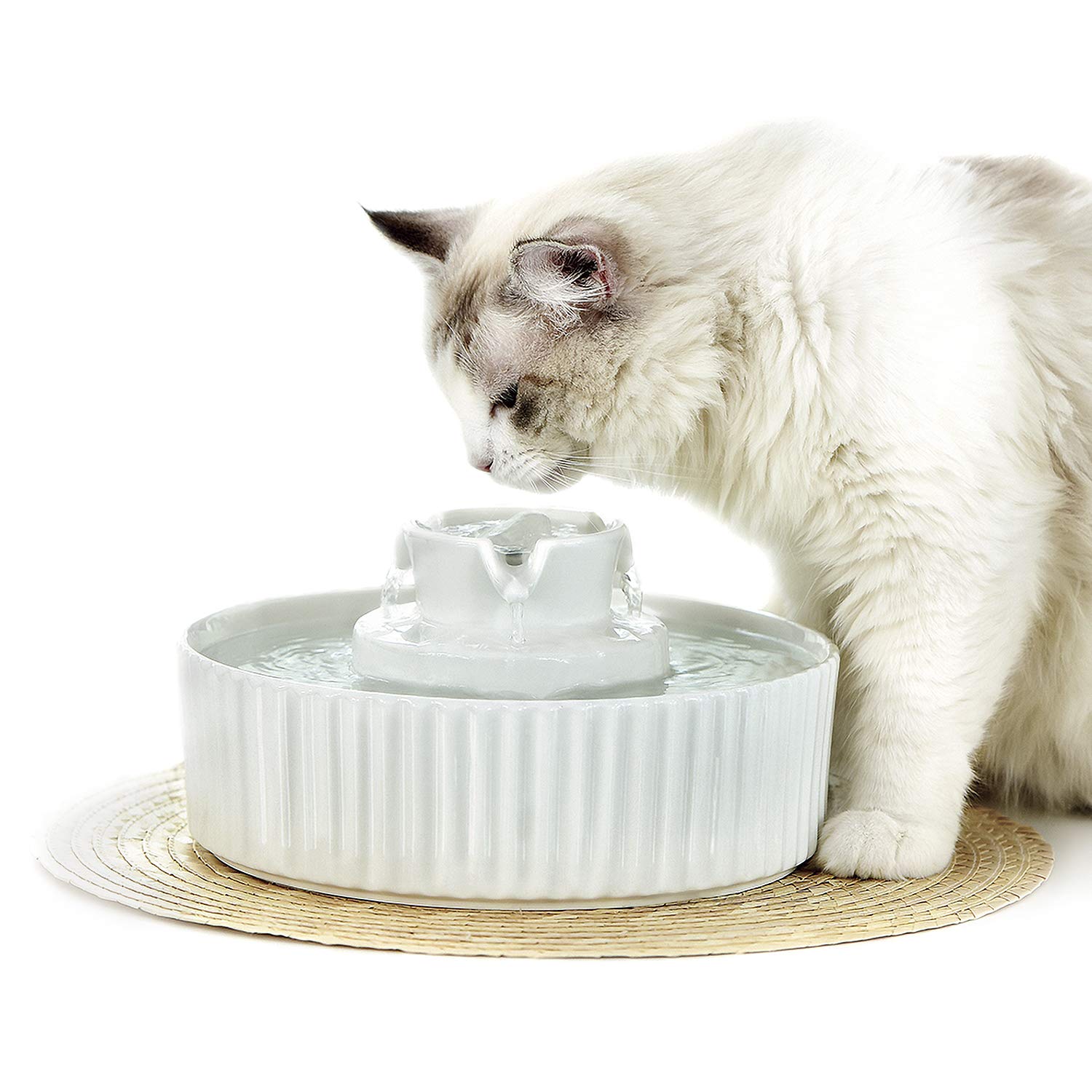 Ceramic Pet Water Dispenser - Stylish Cake Design for Happy Hydration