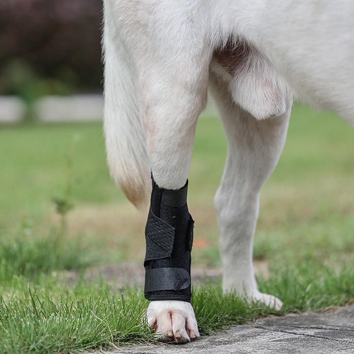 Upgraded Second Generation Pet Dog Auxiliary Strap for Enhanced Support