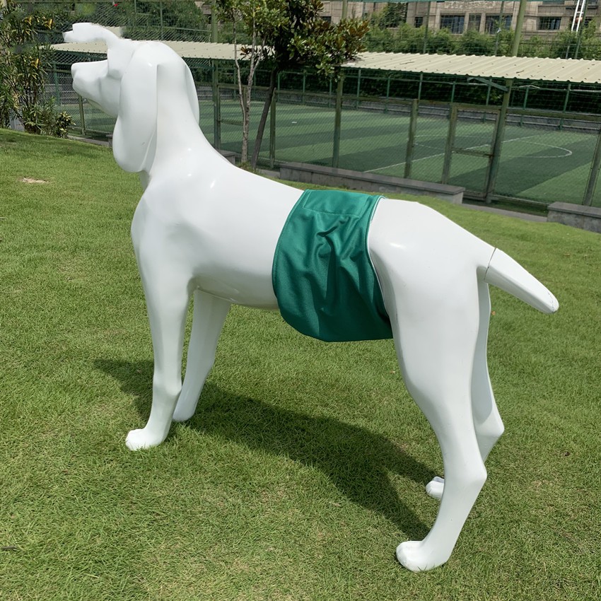 Pet Physiological Belt: Special Diaper for Comfort and Protection