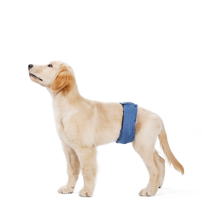 Breathable and Absorbent Menstrual Panties for Pet Dogs