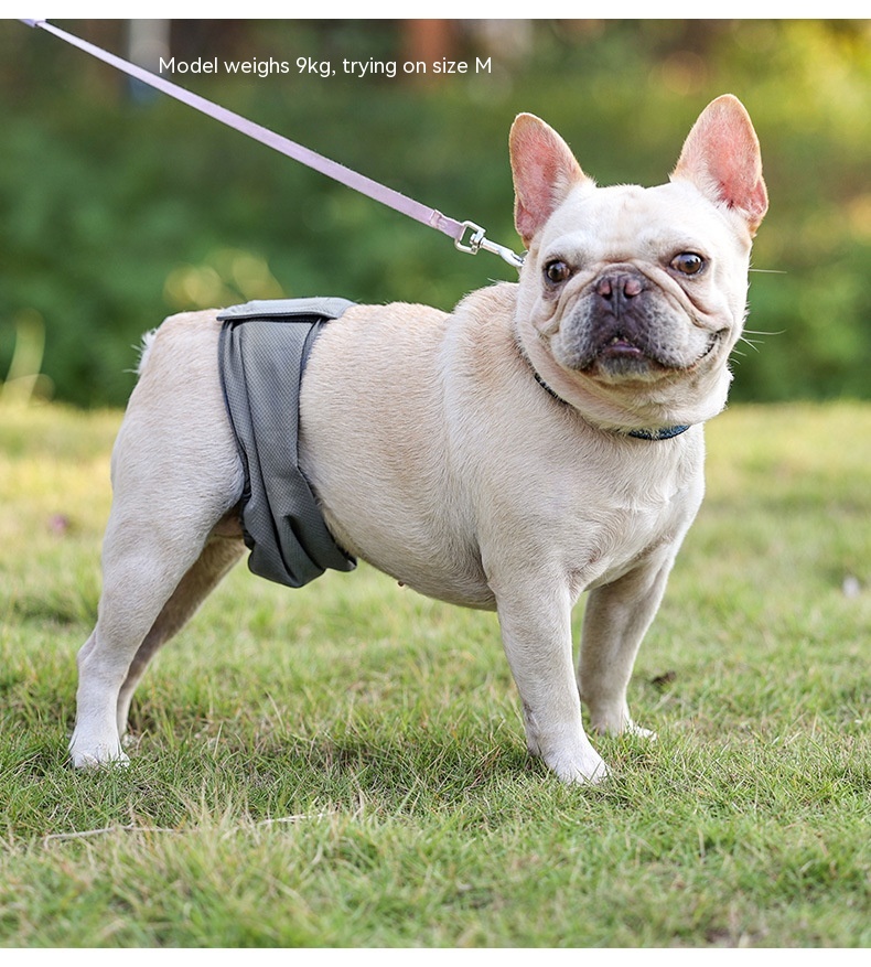 Sterilization Menstrual Panties & Anti-Harassment Male Dog Diaper Bellyband