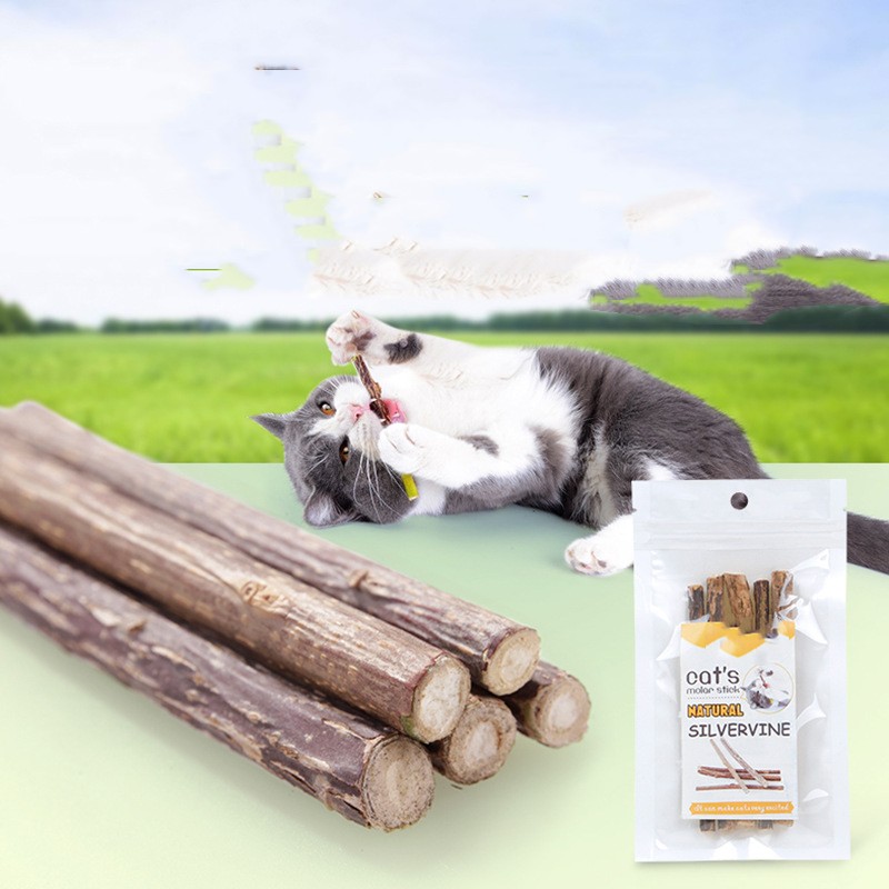 Pet Cat Molar Rod for Effective Teeth Cleaning and Dental Health