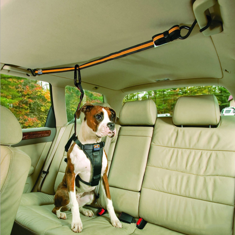 Pet Safety Belt - Versatile Car Lanyard for Secure Travel