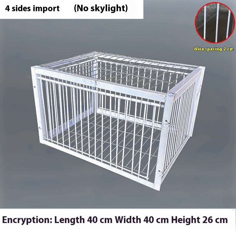 Pigeon Active Network Encrypted Return Cage for Enhanced Security
