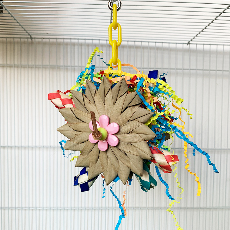 New Parrot Palm Brushed Educational Toys for Engaging Learning Fun