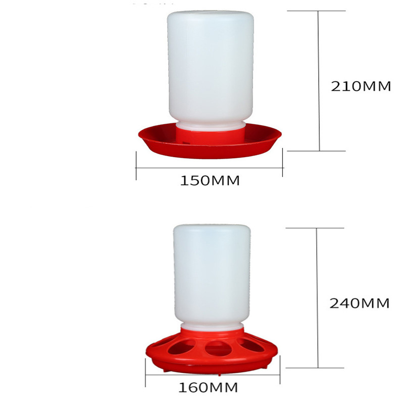 The Bird Feeds Water Bottle for Pigeons with Convenient Waterer