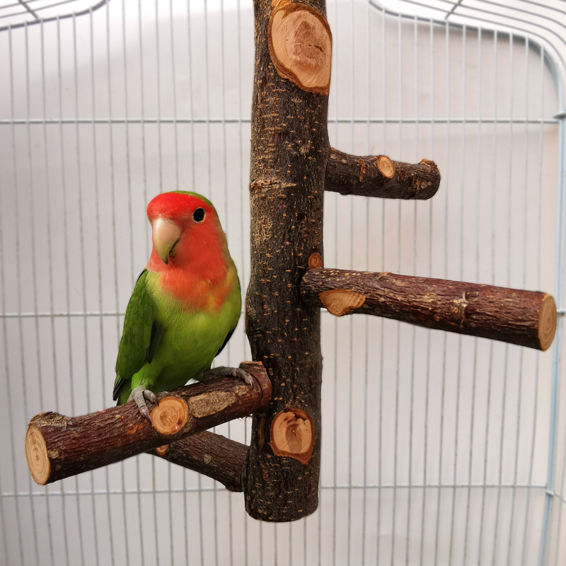 Parrot Bird Wooden Stand Pole Toy - Engaging Playtime Solution for Your Feathered Friends