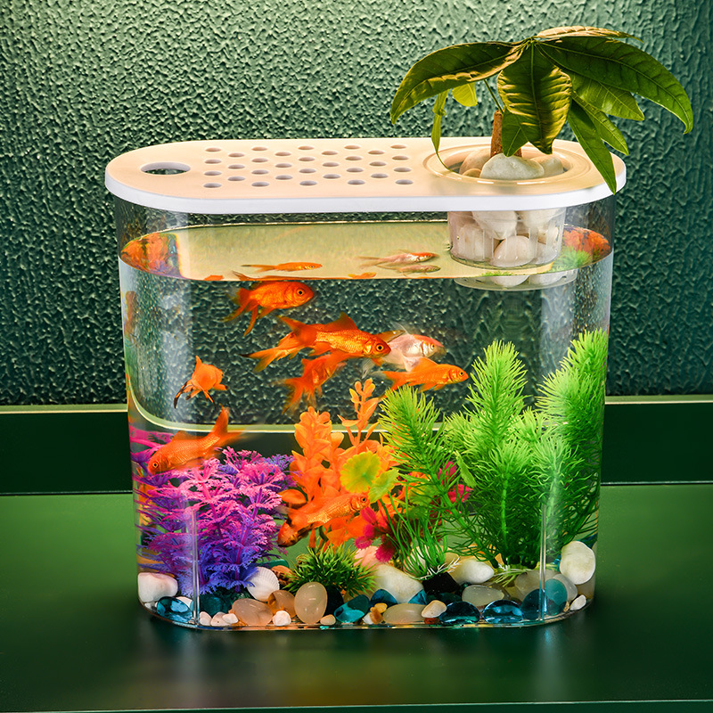Eco-Friendly Acrylic Transparent Incubator for Goldfish Tank