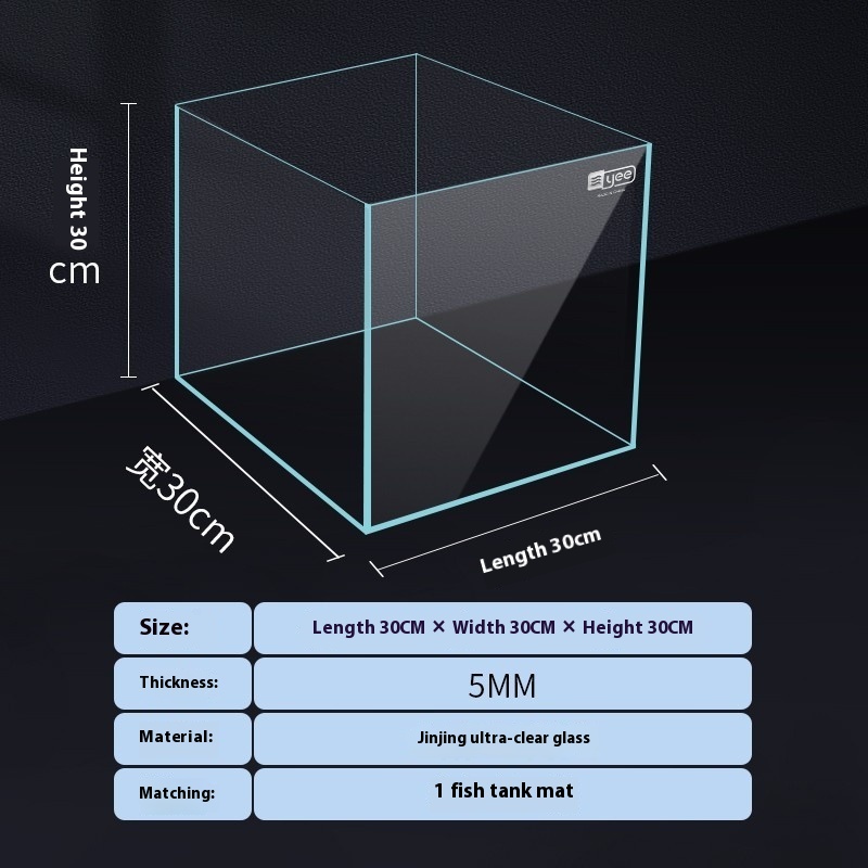 Elegant Super White Glass Fish Tank for Your Home or Office Desk