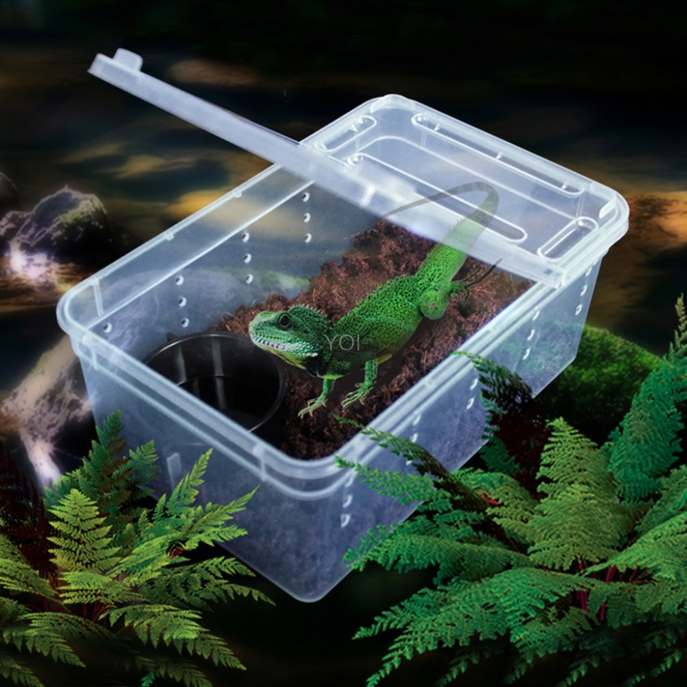 Clear Plastic Reptile Feeding Box - Ideal for Pet Care and Habitat Management