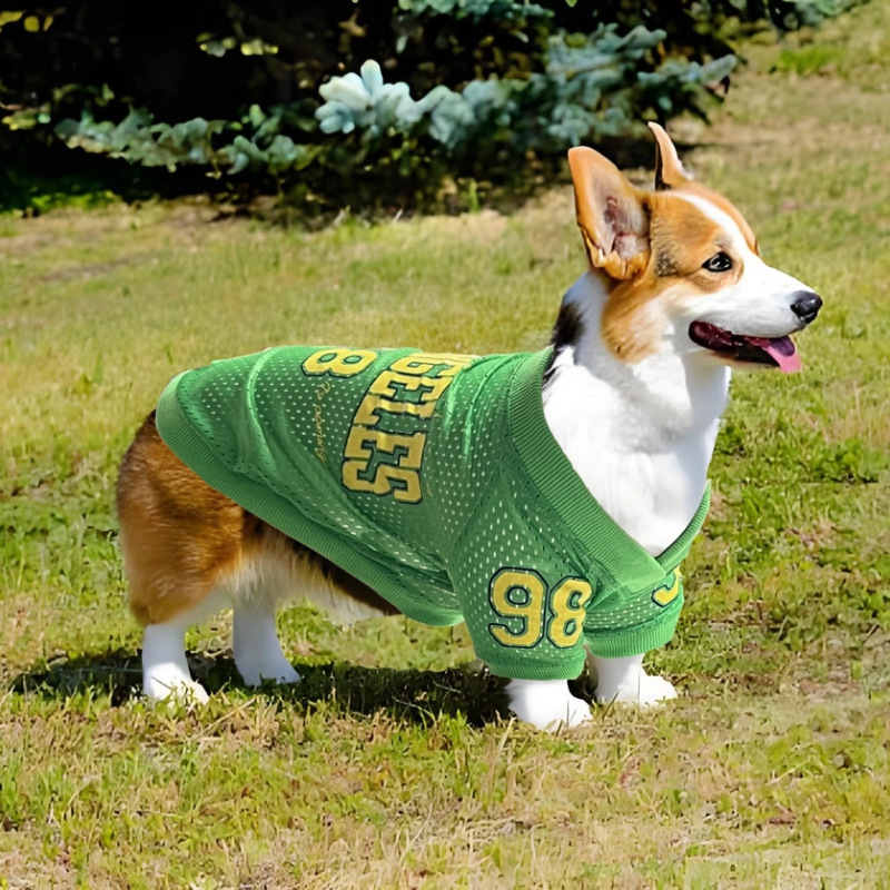 Pet Dog Outdoor Ball Uniform for Sun Protection - Perfect for Playtime