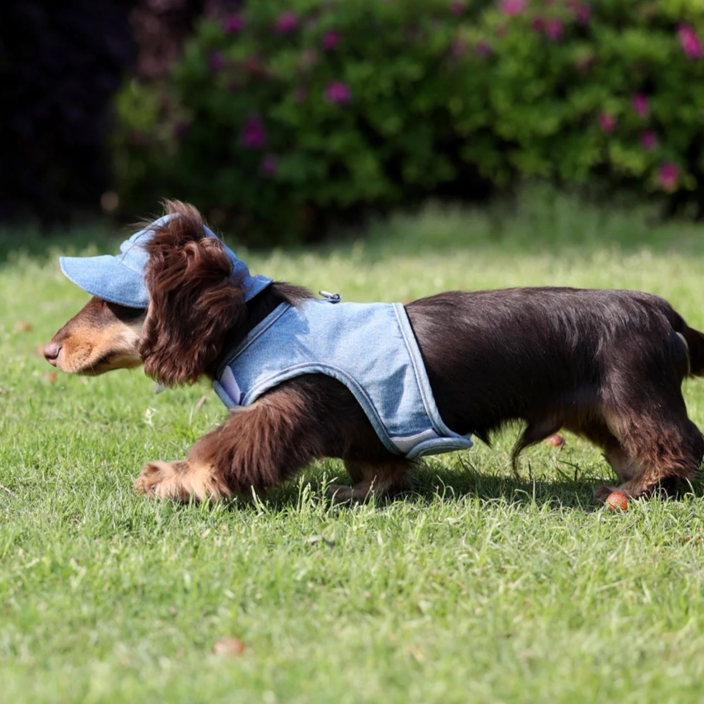 Stylish Pet Wild Cowboy Hat - Effective Sunscreen Dog Sun Protection Hat