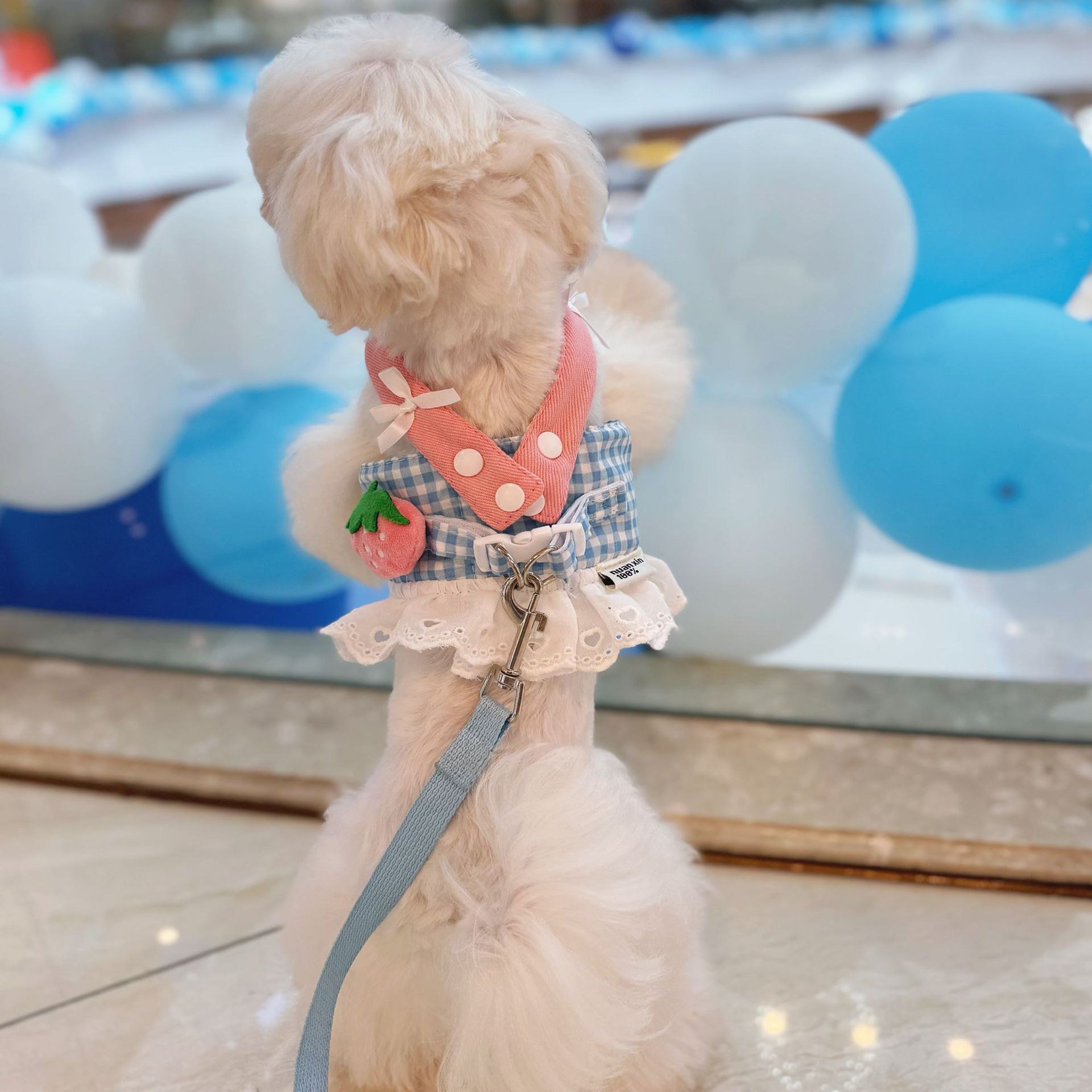 Breathable Cotton Pet Suit for Chest and Back Comfort