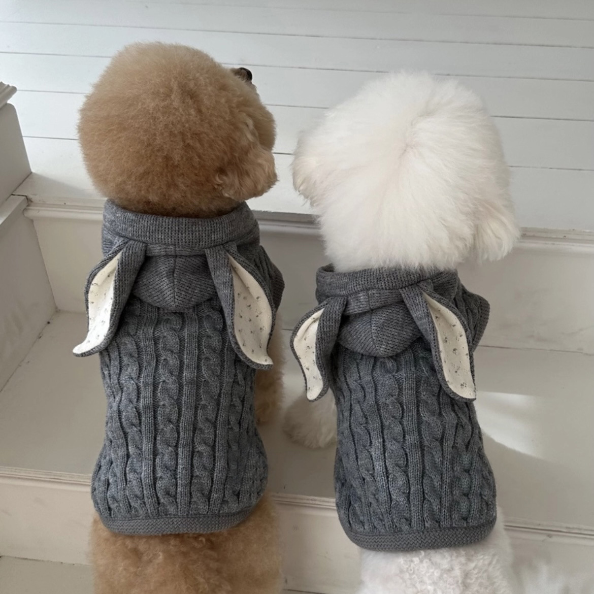 Cozy Warm Pet Clothes: Stylish Cape and Shawl for Your Furry Friend