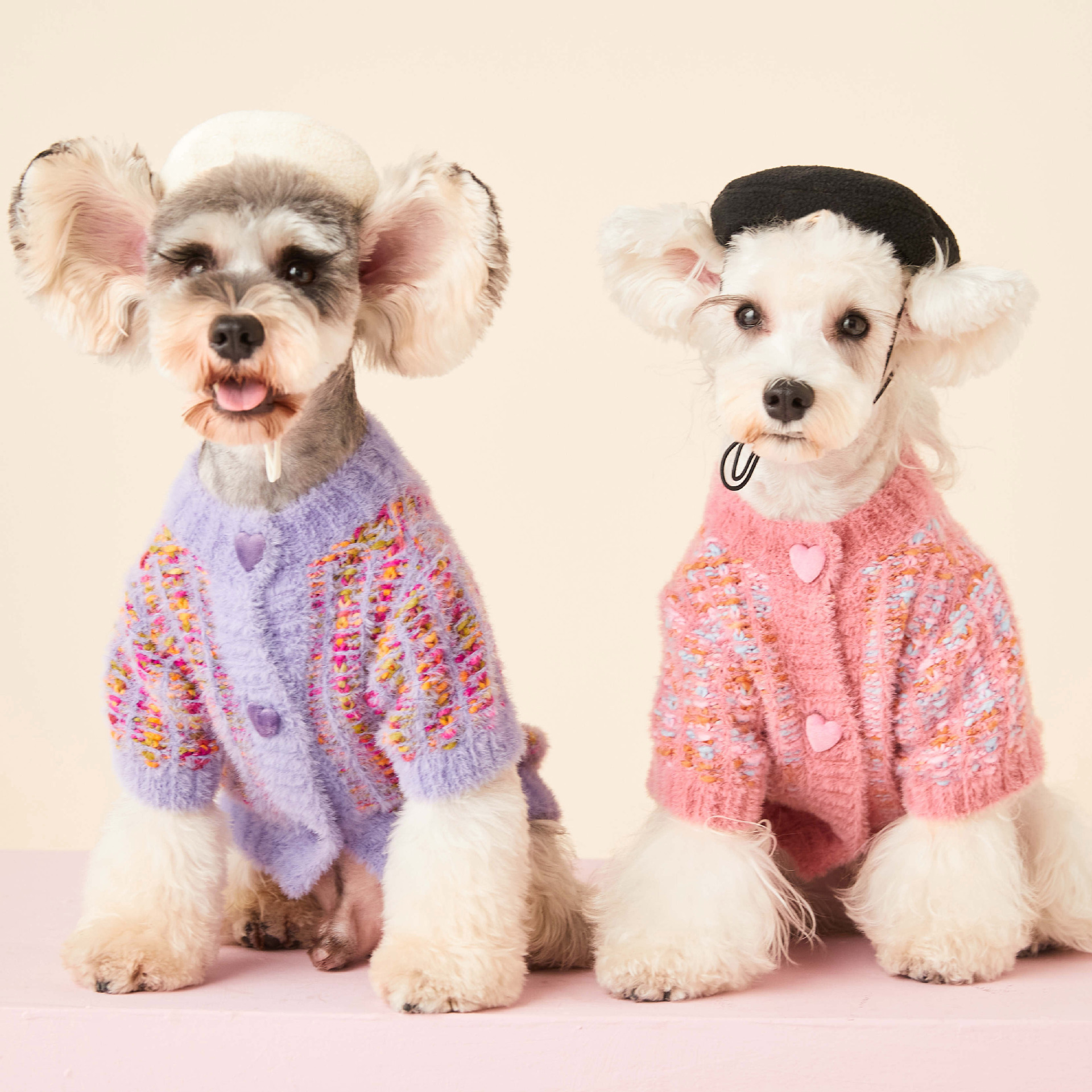 Colorful Autumn and Winter Female Dog Sweater Cardigan for Pets
