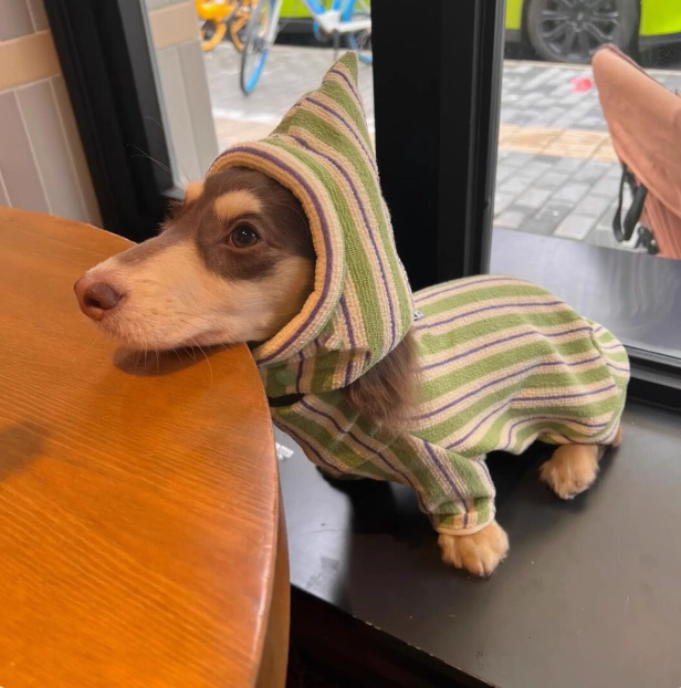 Cozy Pet Dog Autumn and Winter Vest - Stay Warm This Season!