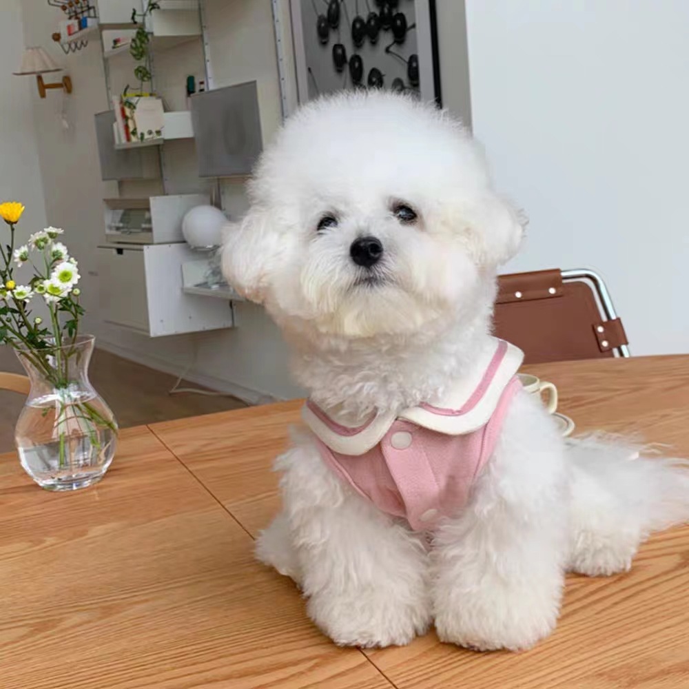 Sailor Collar Vest for Pets - Stylish Thin Clothing for Your Furry Friend