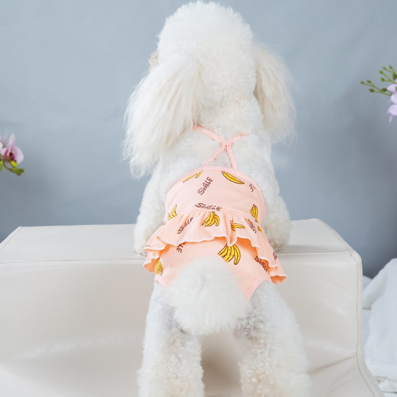 Bull Anti-Harassment Washable Estrous Underwear for Female Dogs - Menstrual Safety Pants
