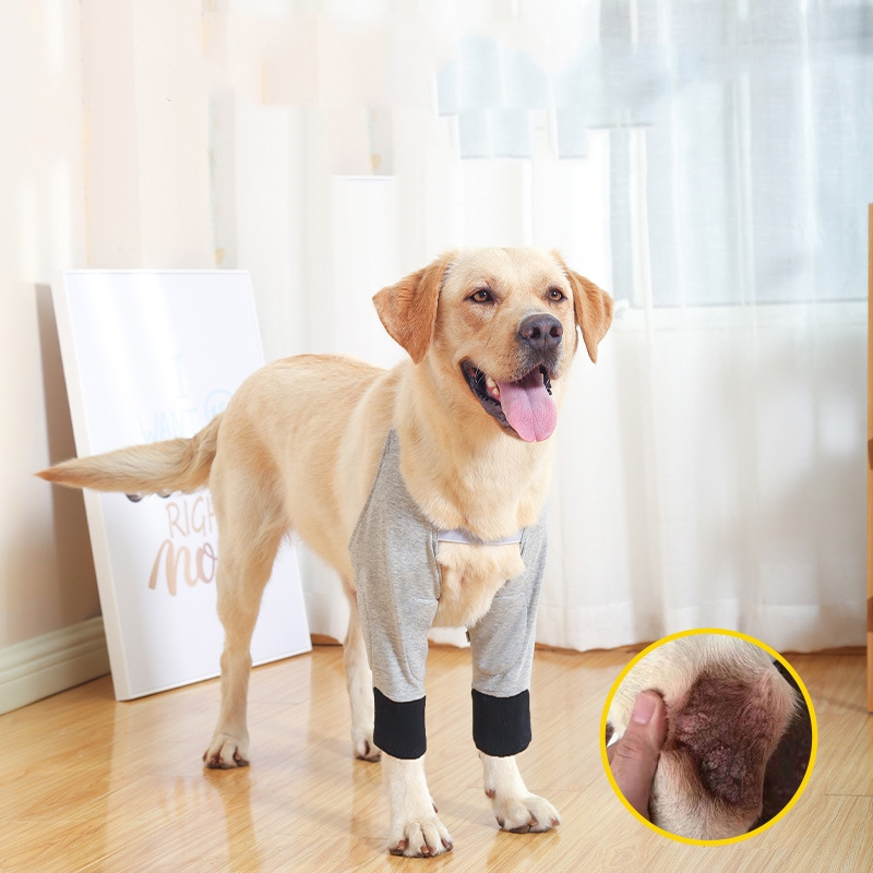 Pet Knee Pads for Ultimate Cold and Warmth Protection – Comfort & Support