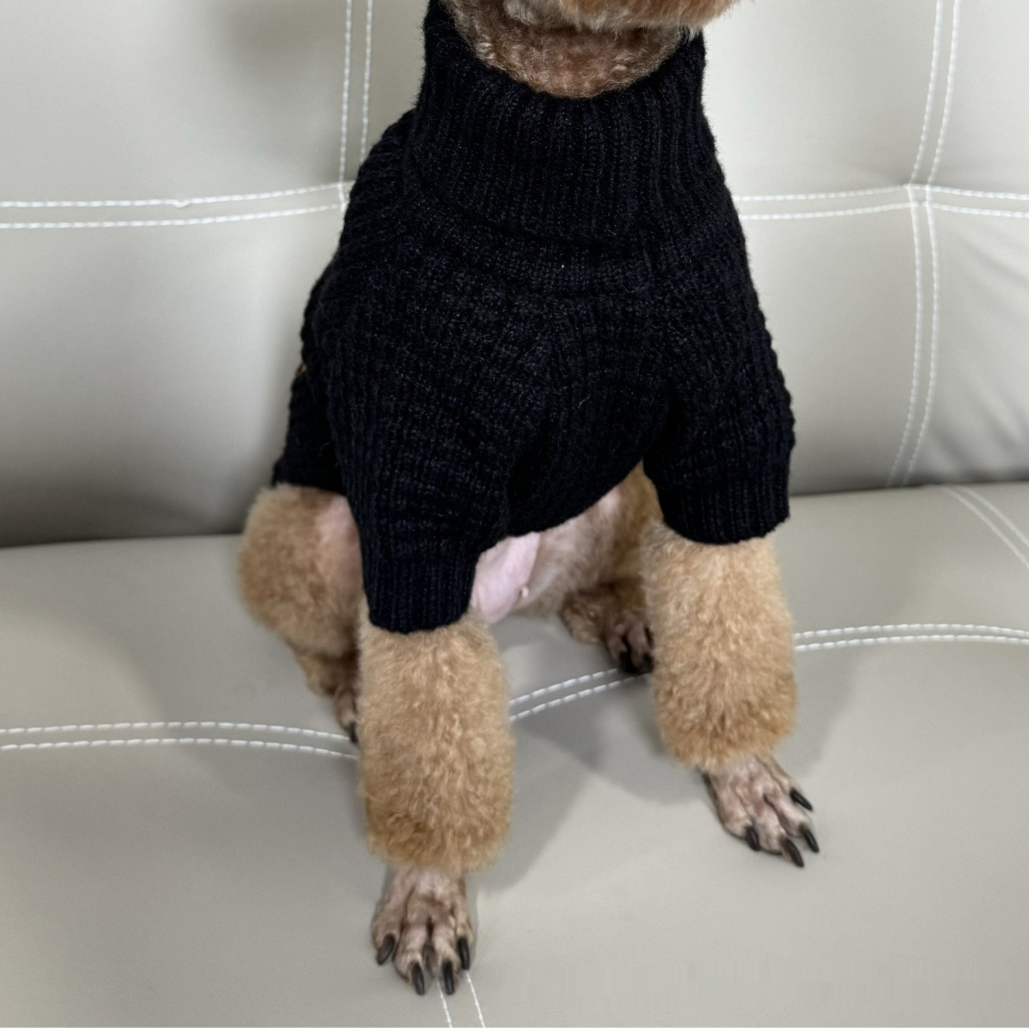 Cozy Pet Turtleneck Knitting Sweater for Cats and Dogs - Stylish Apparel