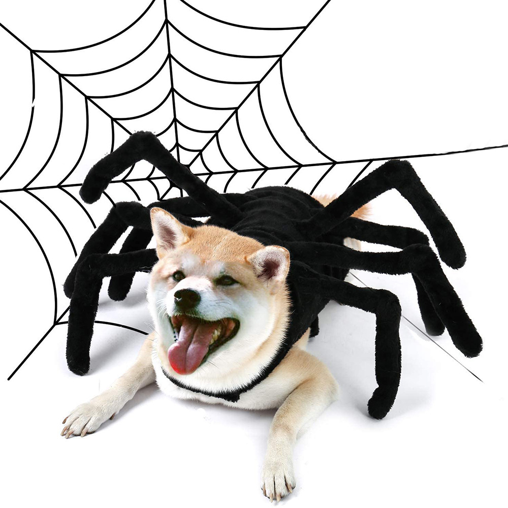 Creative Pets Funny Spider Costume for Chest and Back Wear