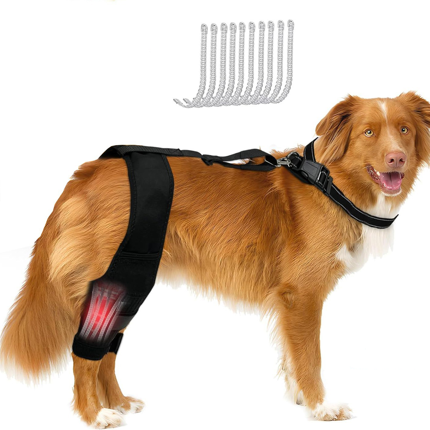 Dog Knee Brace with Auxiliary Belt - Joint Protection Leg Protector for Pets, Great Value!