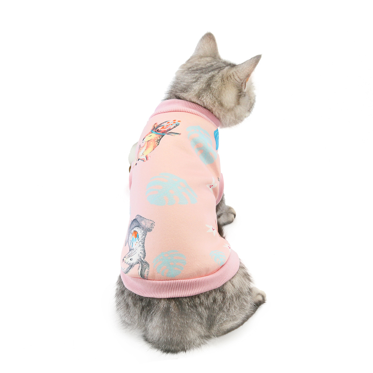 Cozy Cat Clothes for Autumn and Winter: Stylish Feline Apparel