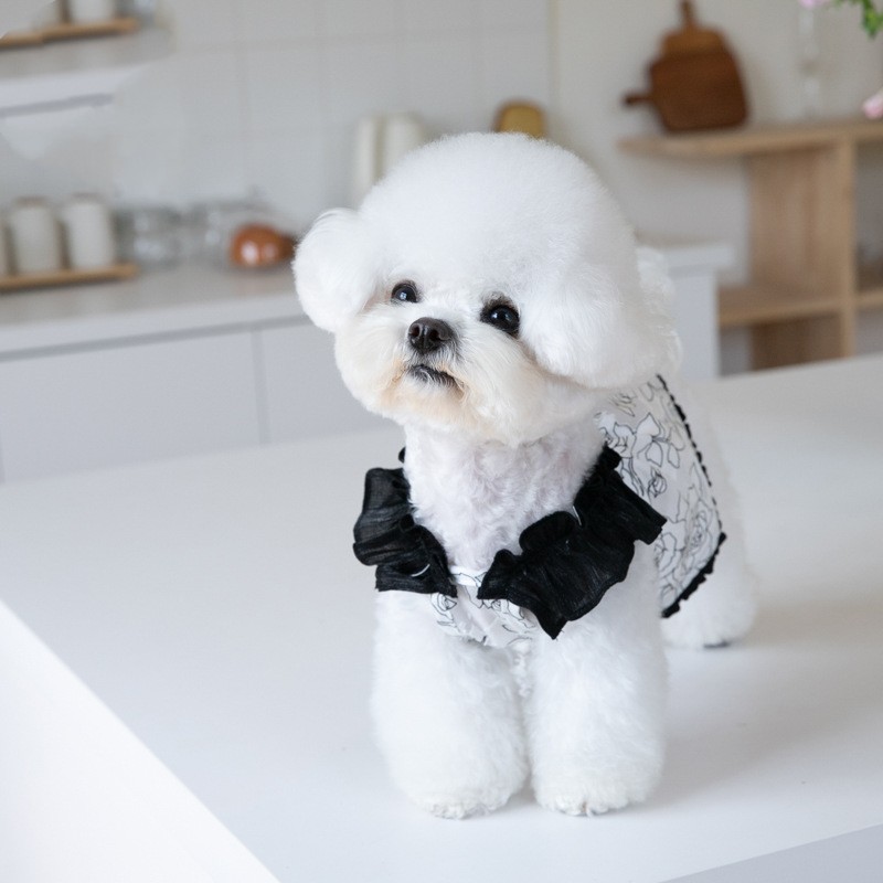 Luxurious Chiffon High-End Pet Skirt - Elegant Style for Your Furry Friend