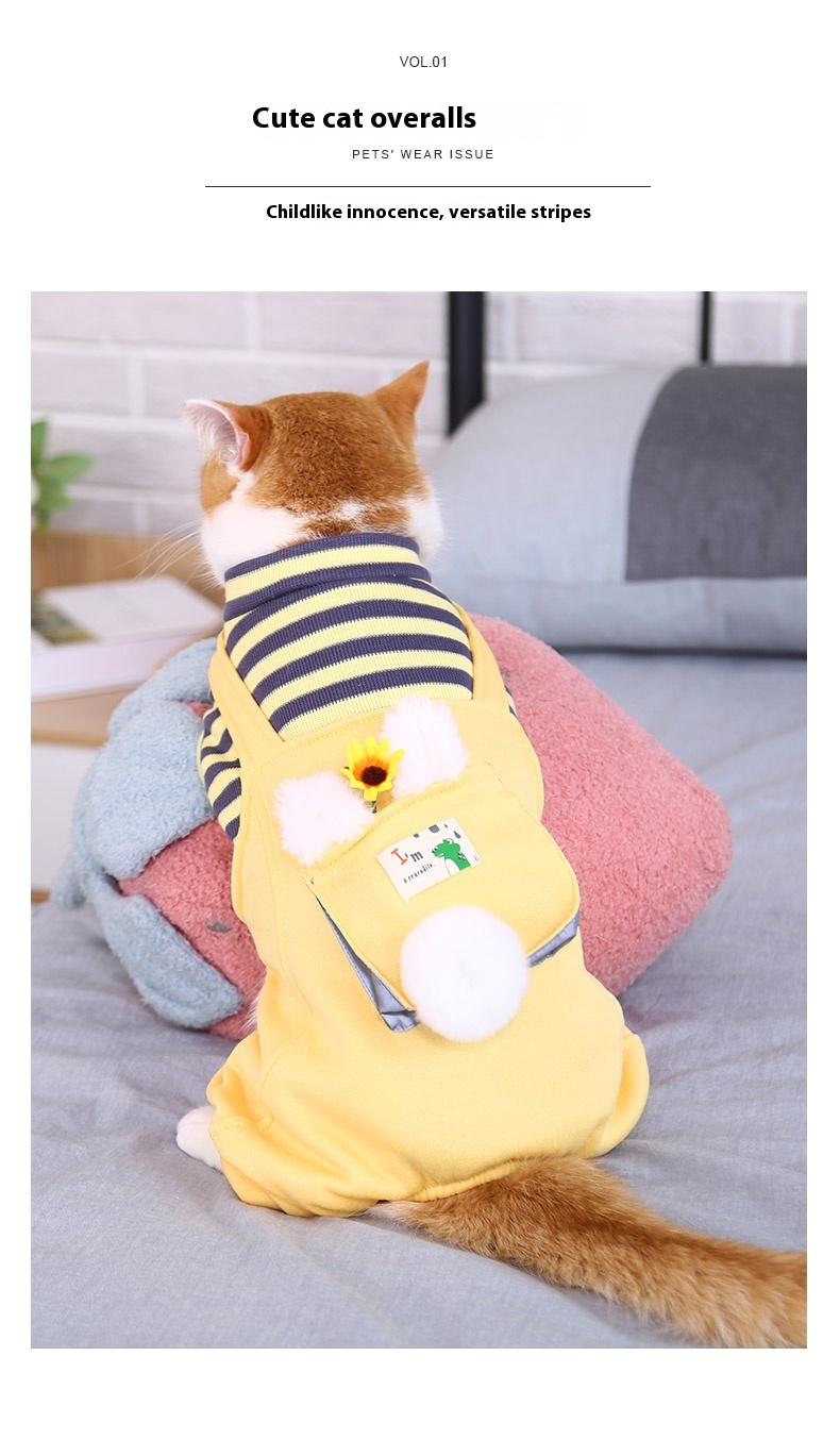 Cozy and Adorable Anti-Lint Clothes for Four-Legged Cats and Pets