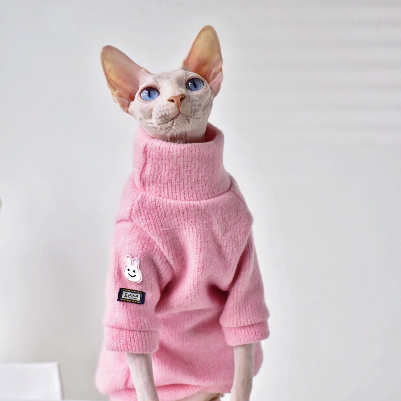 Thickened Winter Coat for Hairless Cats – Stay Warm and Stylish