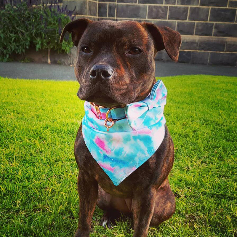 Double-Sided Printed Cotton Pet Scarf for Stylish Pets