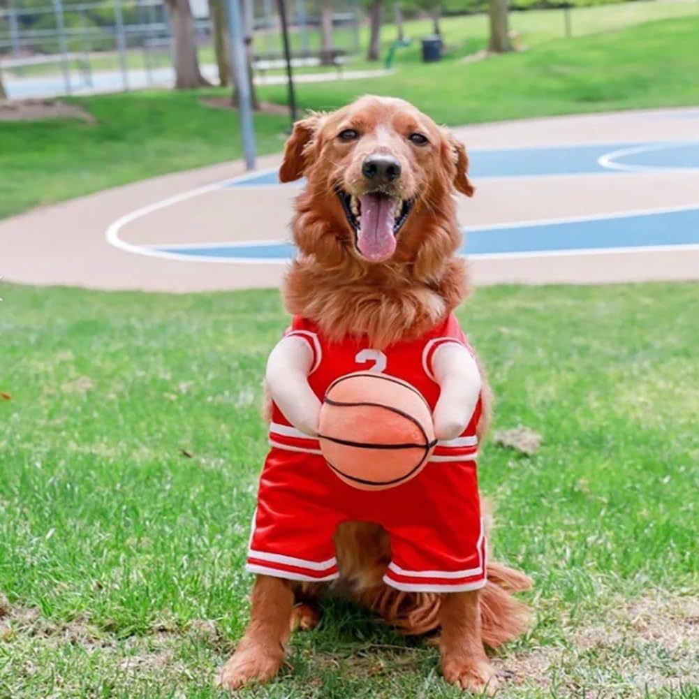 Fun Creative Dog Basketball Costume Complete with Ball