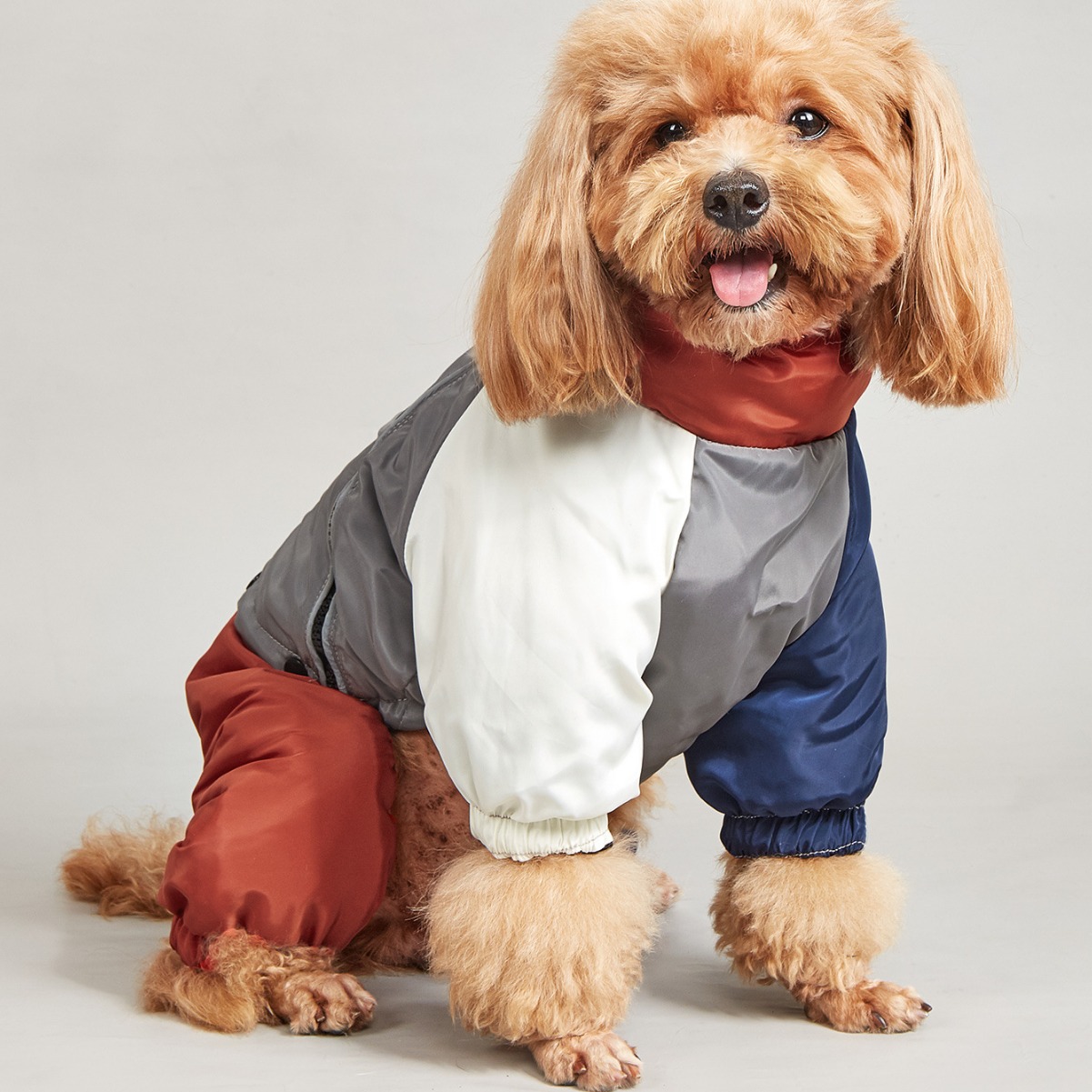 Pet Winter Color Matching Cotton-Padded Clothes for Medium & Large Dogs - Warm and Comfortable Apparel