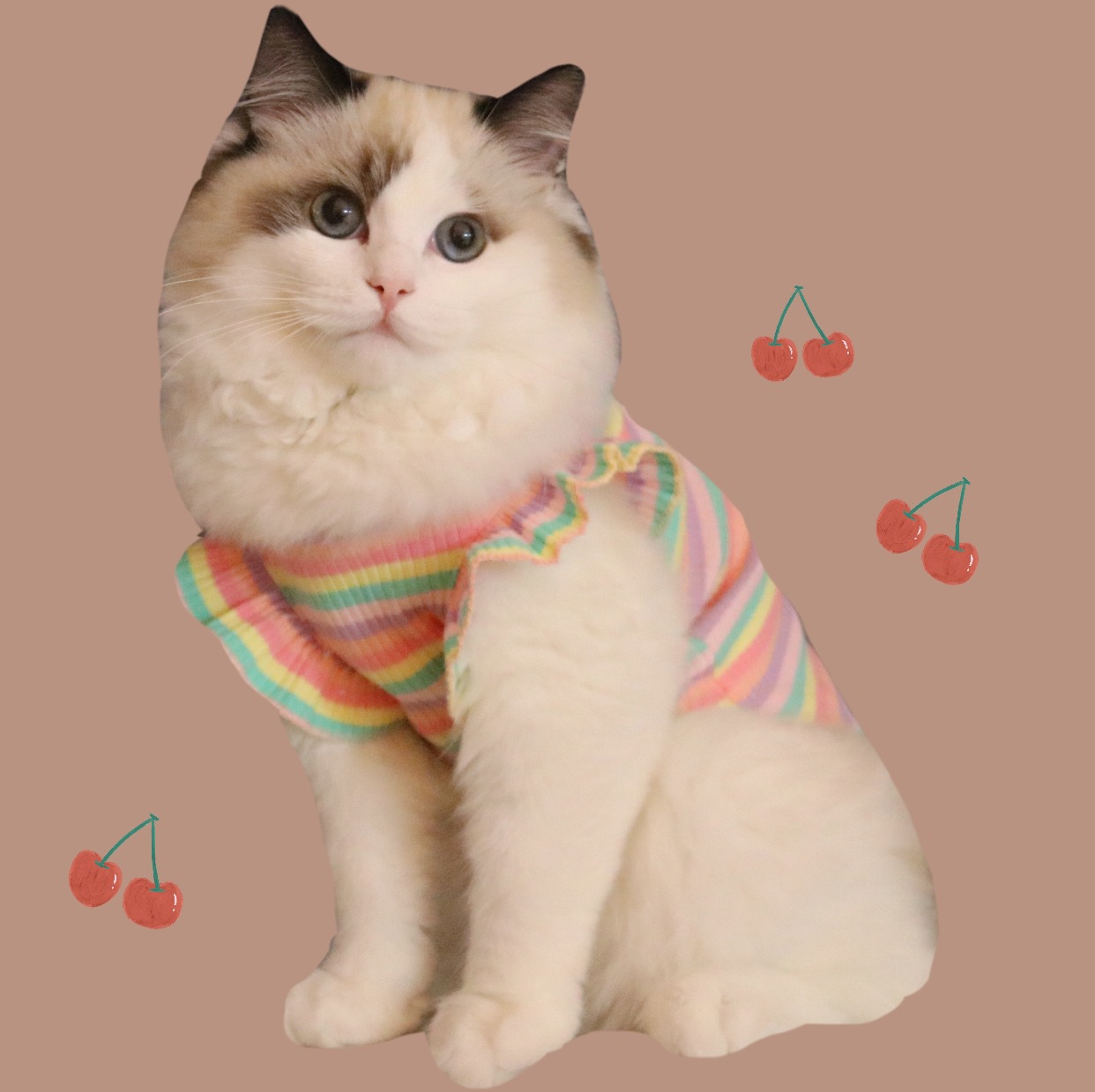 Small Summer Dog and Cat Costume - Breathable Cotton for Comfort