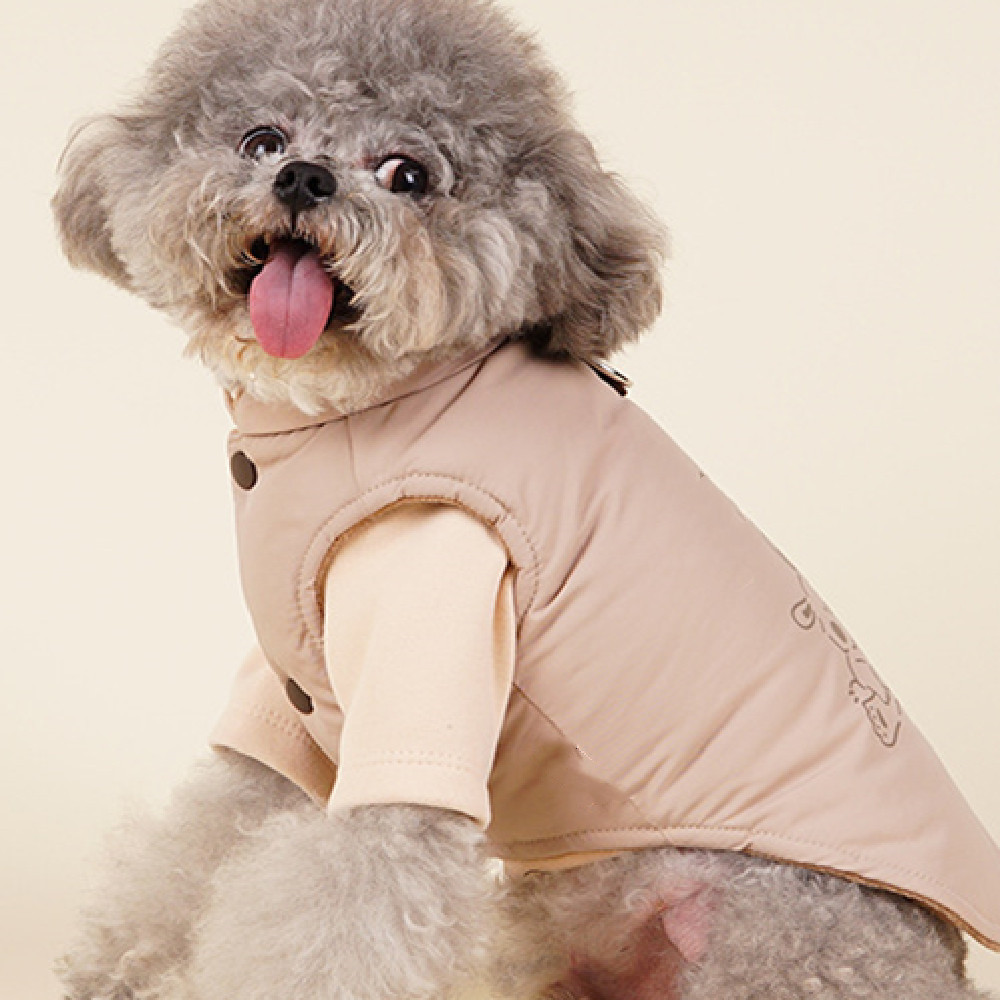 Cozy Autumn and Winter Pet Apparel for Ultimate Warmth