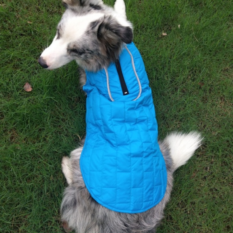 Double Color Checker Pet Clothes for Autumn and Winter Season