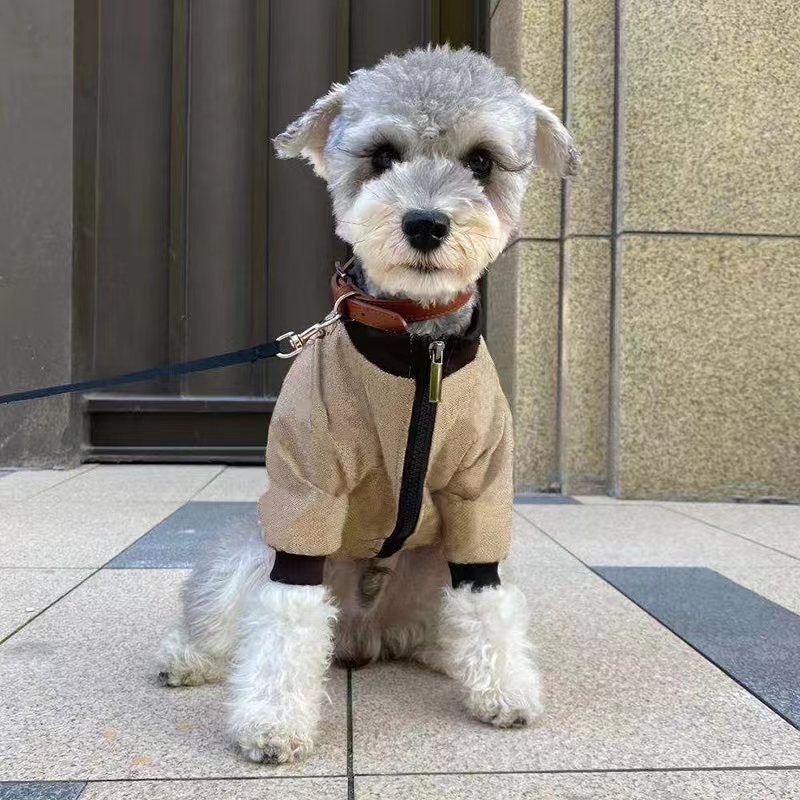 Cozy Pet Winter Jacket Hoodie Coat - Perfect for Cold Weather Adventures