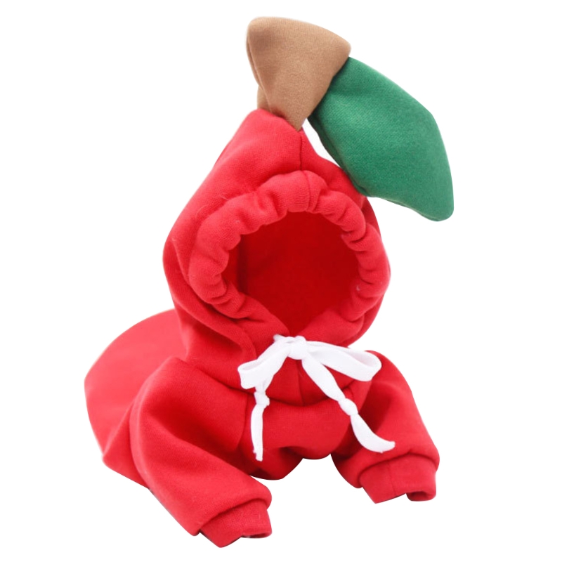 Chihuahua in Cozy Plush Pet Apparel for Autumn and Winter Seasons