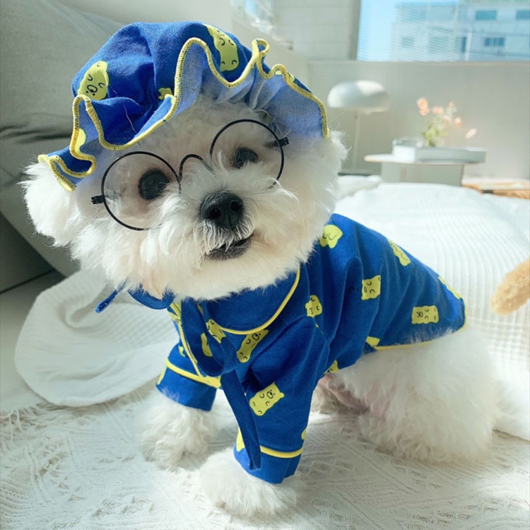 Adorable Korean Spring Candy Bear Hat Pajama Set for Dogs - Pure Cotton Home Apparel