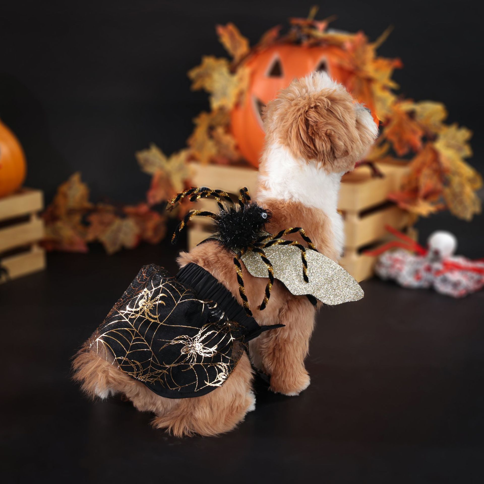Halloween Dog Costume – Festive Pet Apparel for Halloween Parties