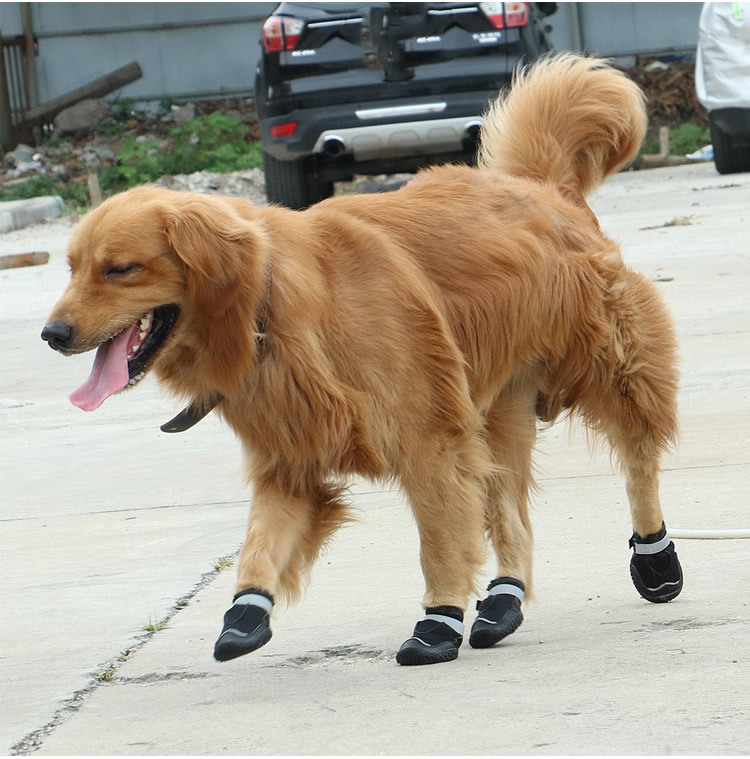 Durable and Breathable Pet Shoes for Large Dogs - Wear-Resistant Design