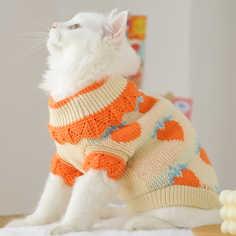 Fall Cat Clothes for Kittens – Reduce Shedding with Stylish Gear