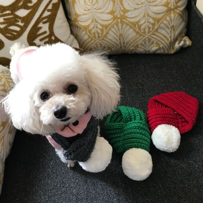 Wool Scarf for Cats and Dogs - Stylish Pet Accessories Scarf