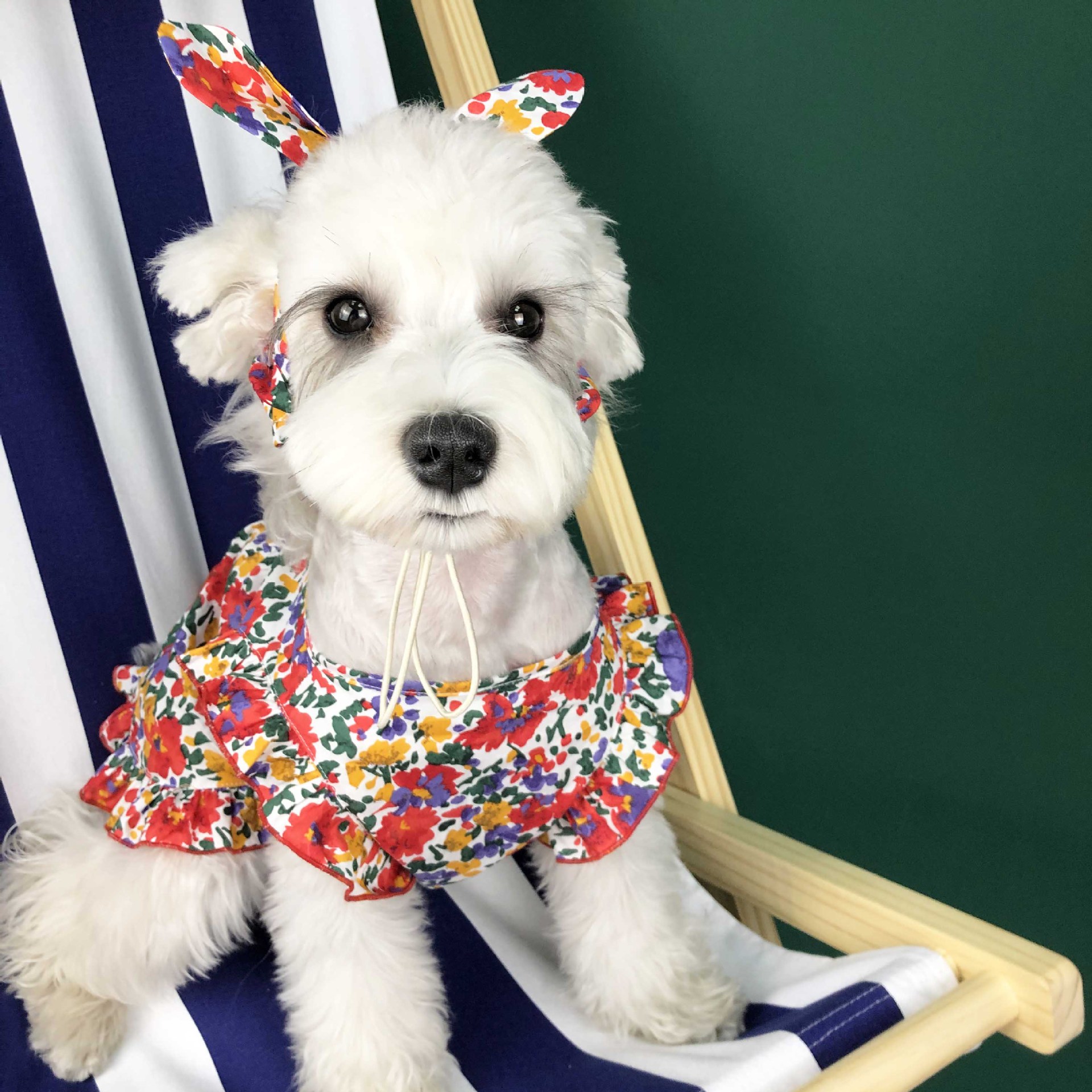 Summer Lightweight Dress for Small Dogs - Stylish Pet Apparel